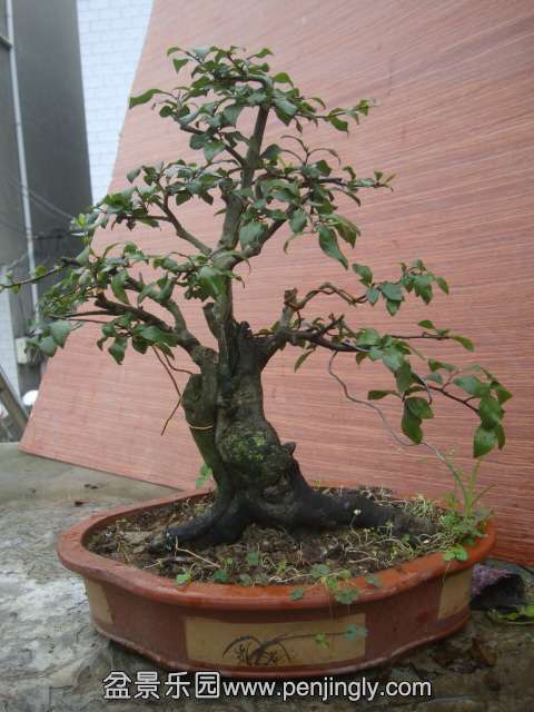 DSC05109.JPG