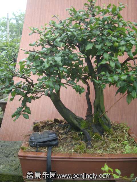 DSC05101.JPG