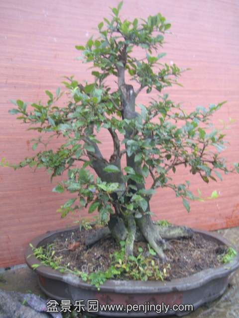DSC05107.JPG