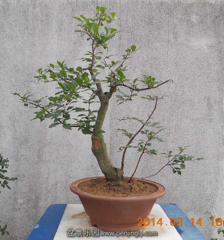 05ѻ׮1.jpg