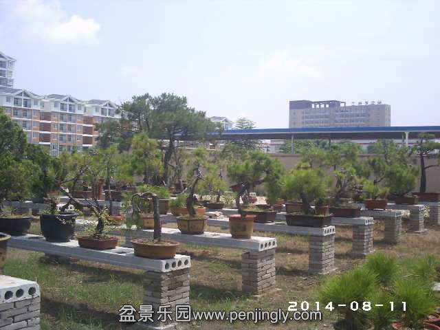 PHOT0320.JPG