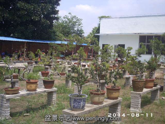 PHOT0321.JPG