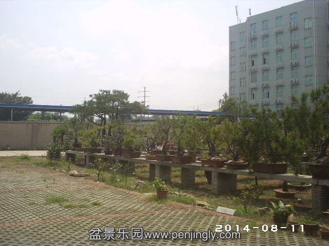 PHOT0323.JPG