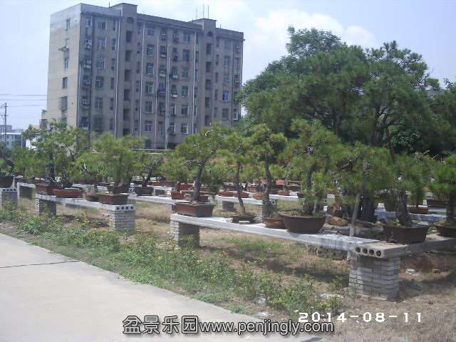 PHOT0325.JPG