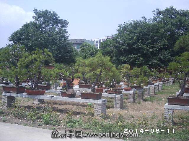 PHOT0326.JPG