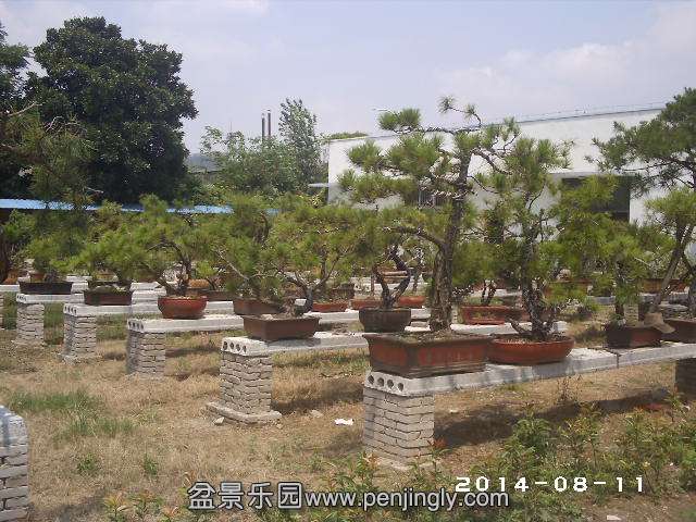PHOT0329.JPG
