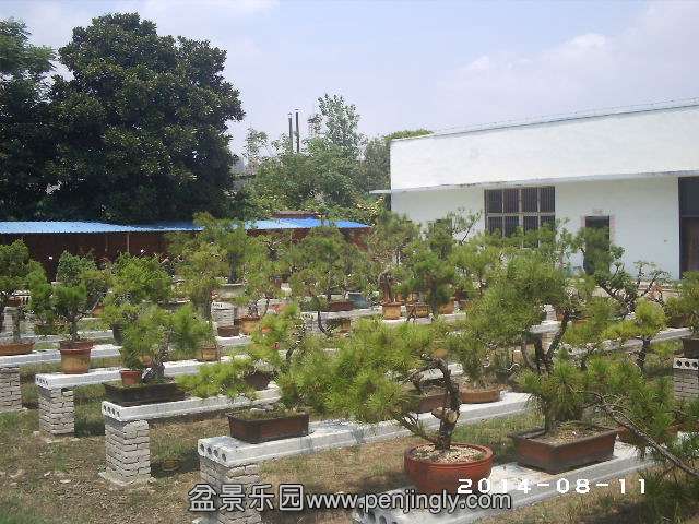 PHOT0331.JPG