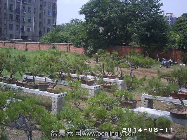 PHOT0332.JPG