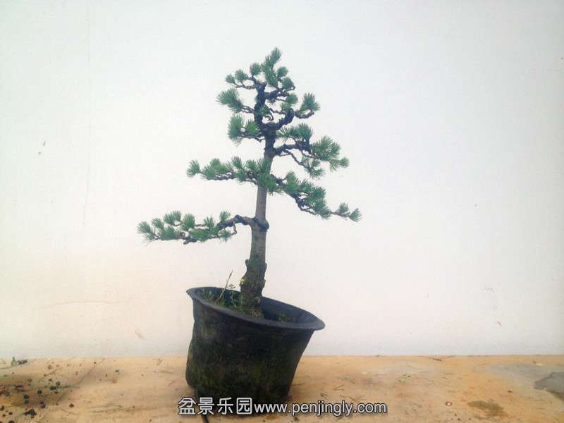 QQͼƬ20140815192459.jpg