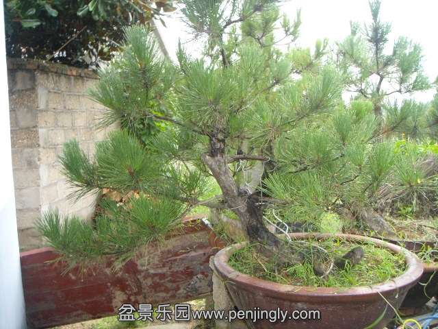 DSC00016.JPG