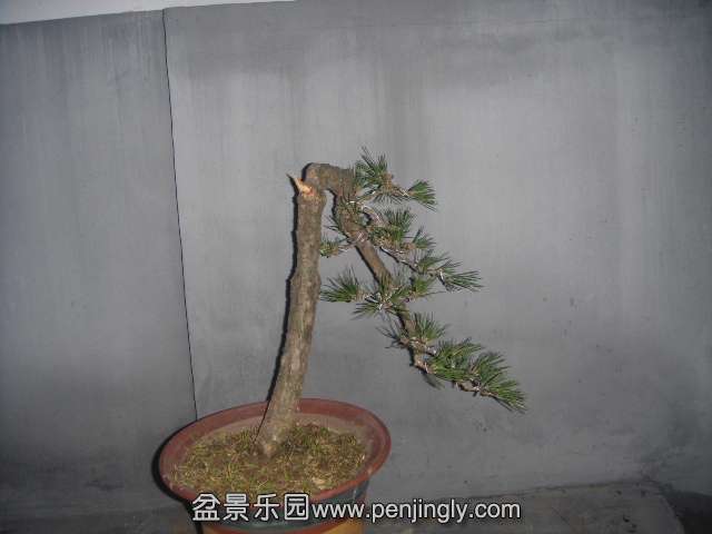 DSC00141.JPG