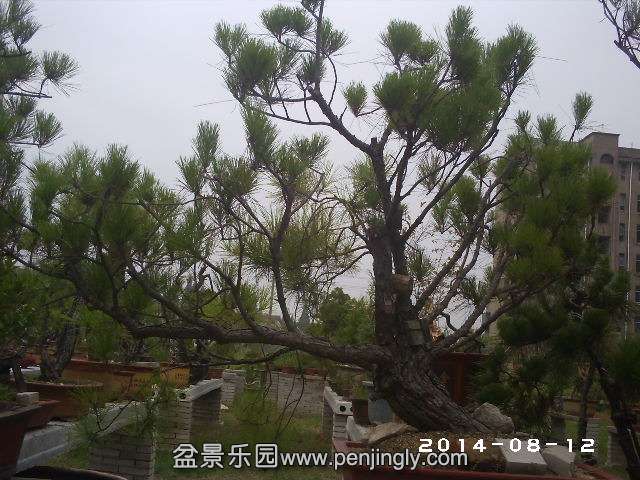 PHOT0334.JPG