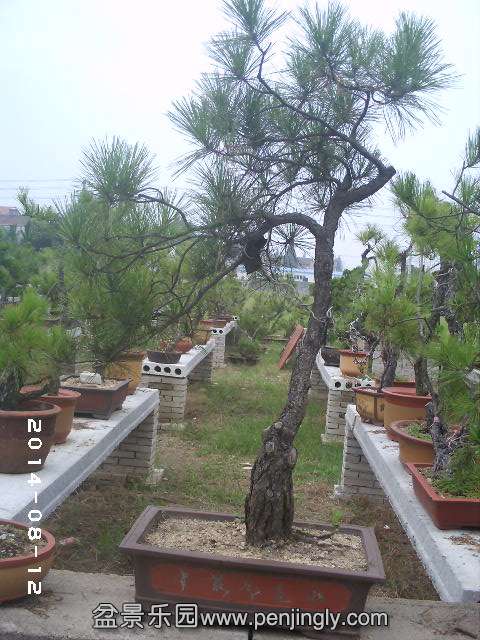 PHOT0336.JPG