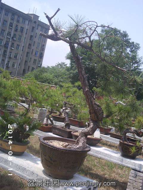 PHOT0328.JPG