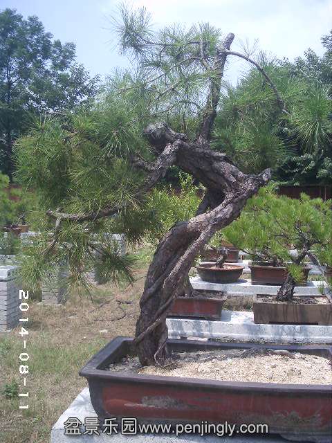 PHOT0330.JPG