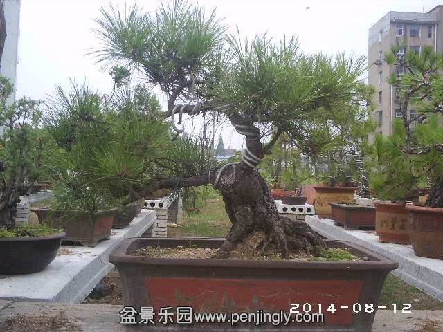 PHOT0337.JPG