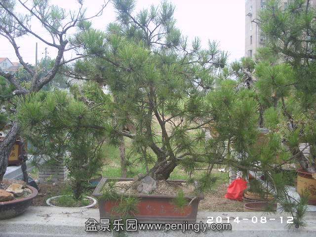PHOT0340.JPG