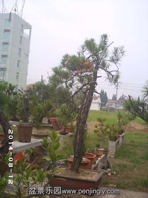 PHOT0342.JPG