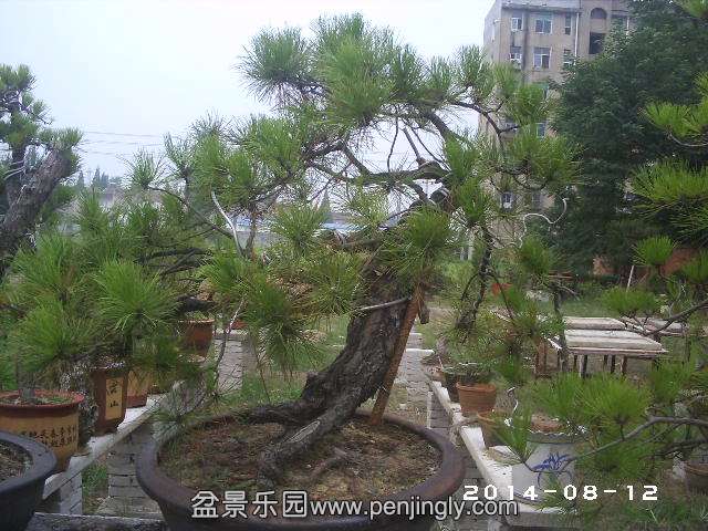 PHOT0344.JPG