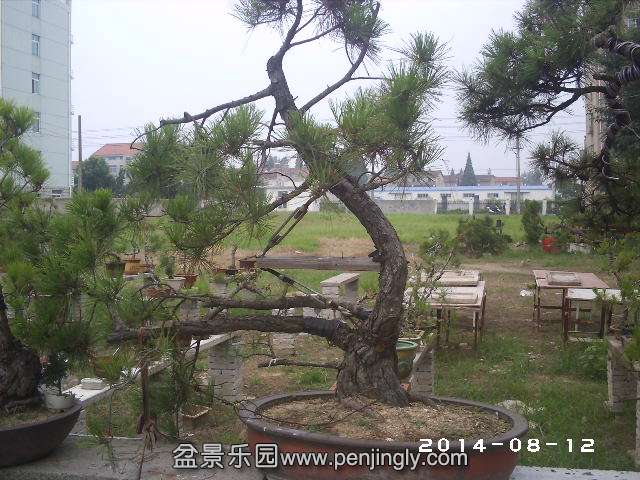 PHOT0348.JPG