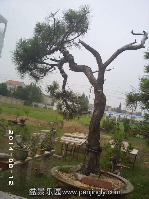PHOT0349.JPG