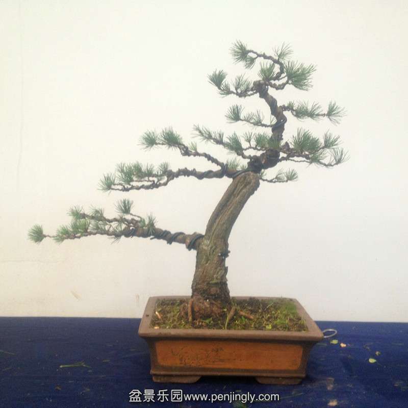 QQͼƬ20140817191349.jpg
