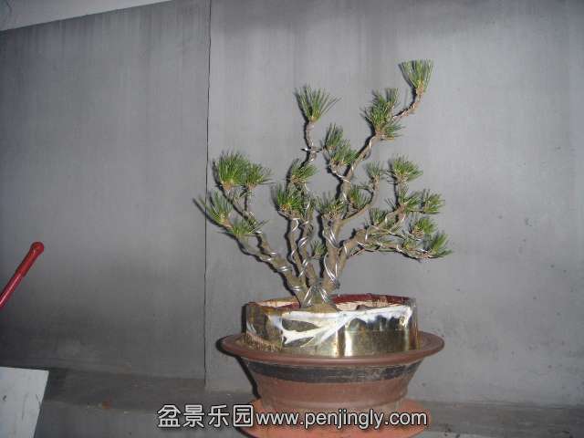 DSC00214.JPG
