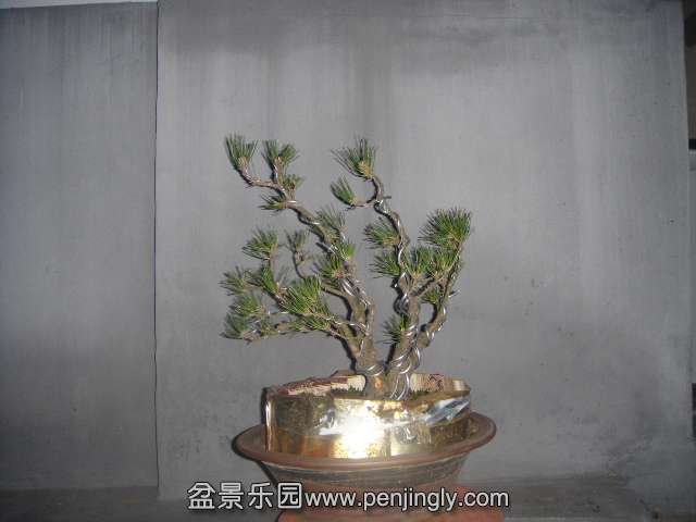 DSC00216.JPG