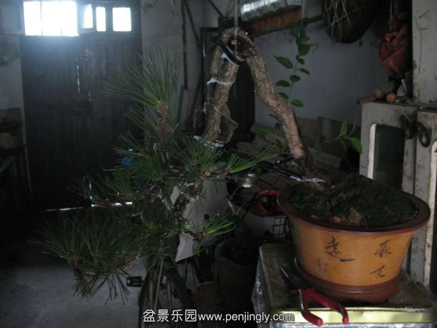 0a9582a1cd11728b0fe9d004cbfcc3cec2fd2c61.jpg