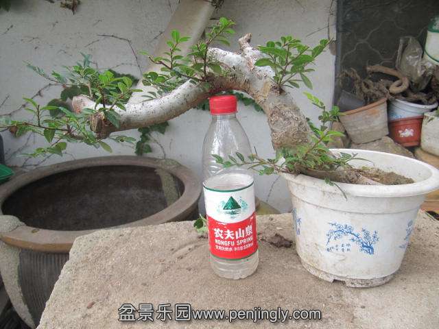 榆130元 (1).JPG