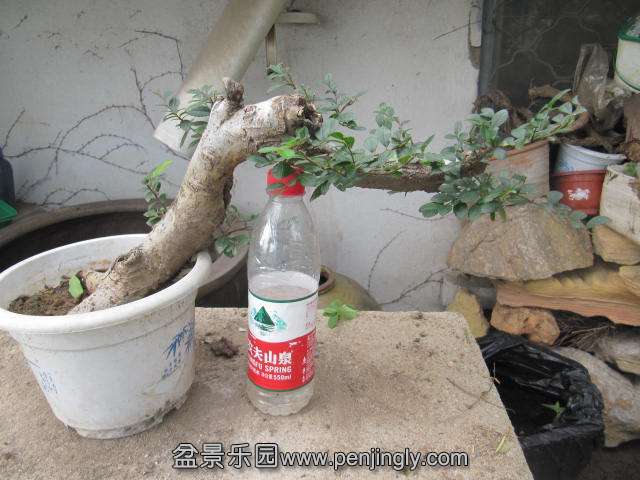 榆130元 (2).JPG