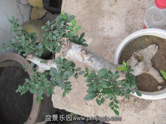 榆130元 (3).JPG