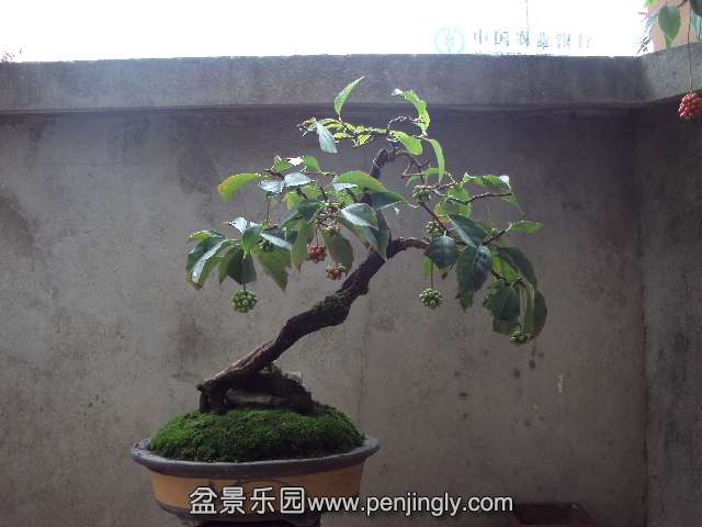 DSC03148.JPG