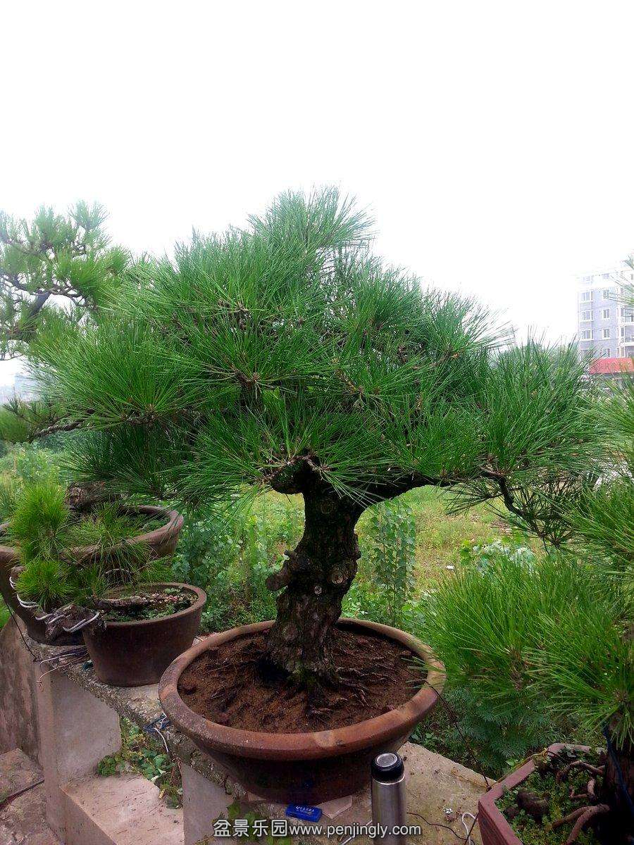 20140811_093114.jpg