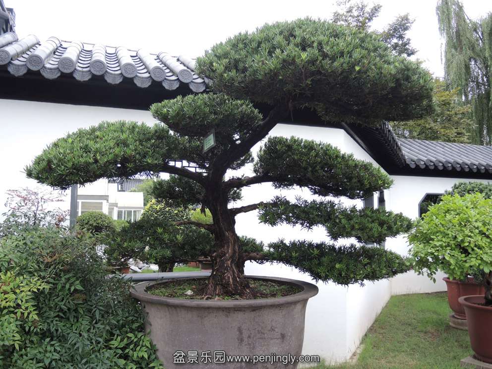 DSCN3028.jpg