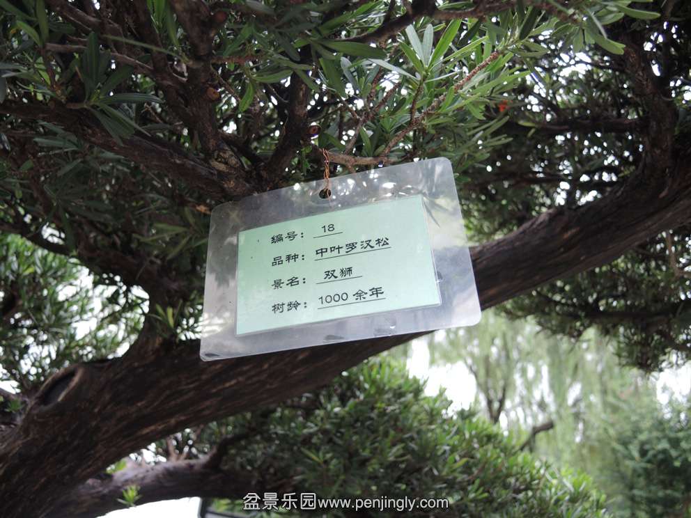 DSCN3030.jpg