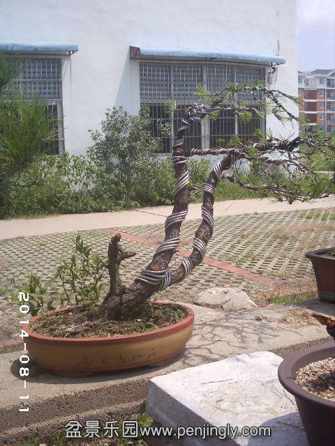 PHOT0314.JPG