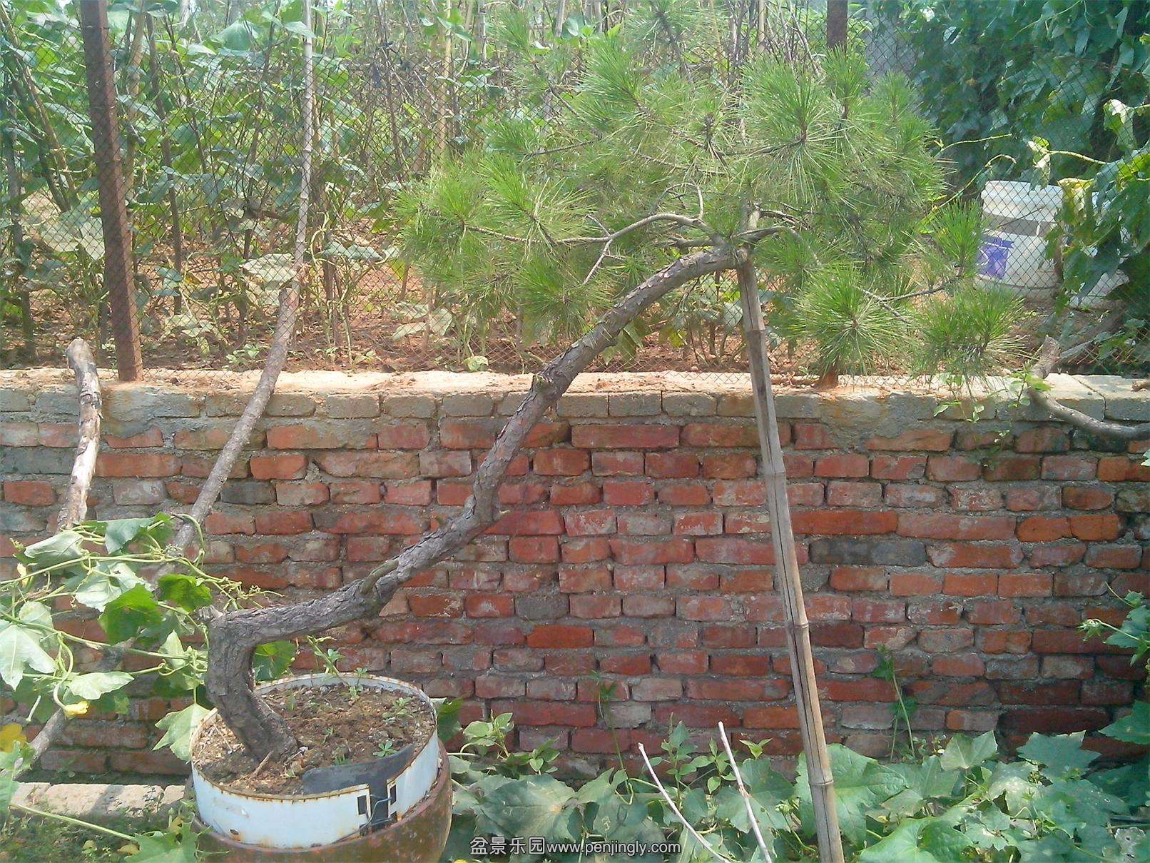 IMG20140819001.jpg