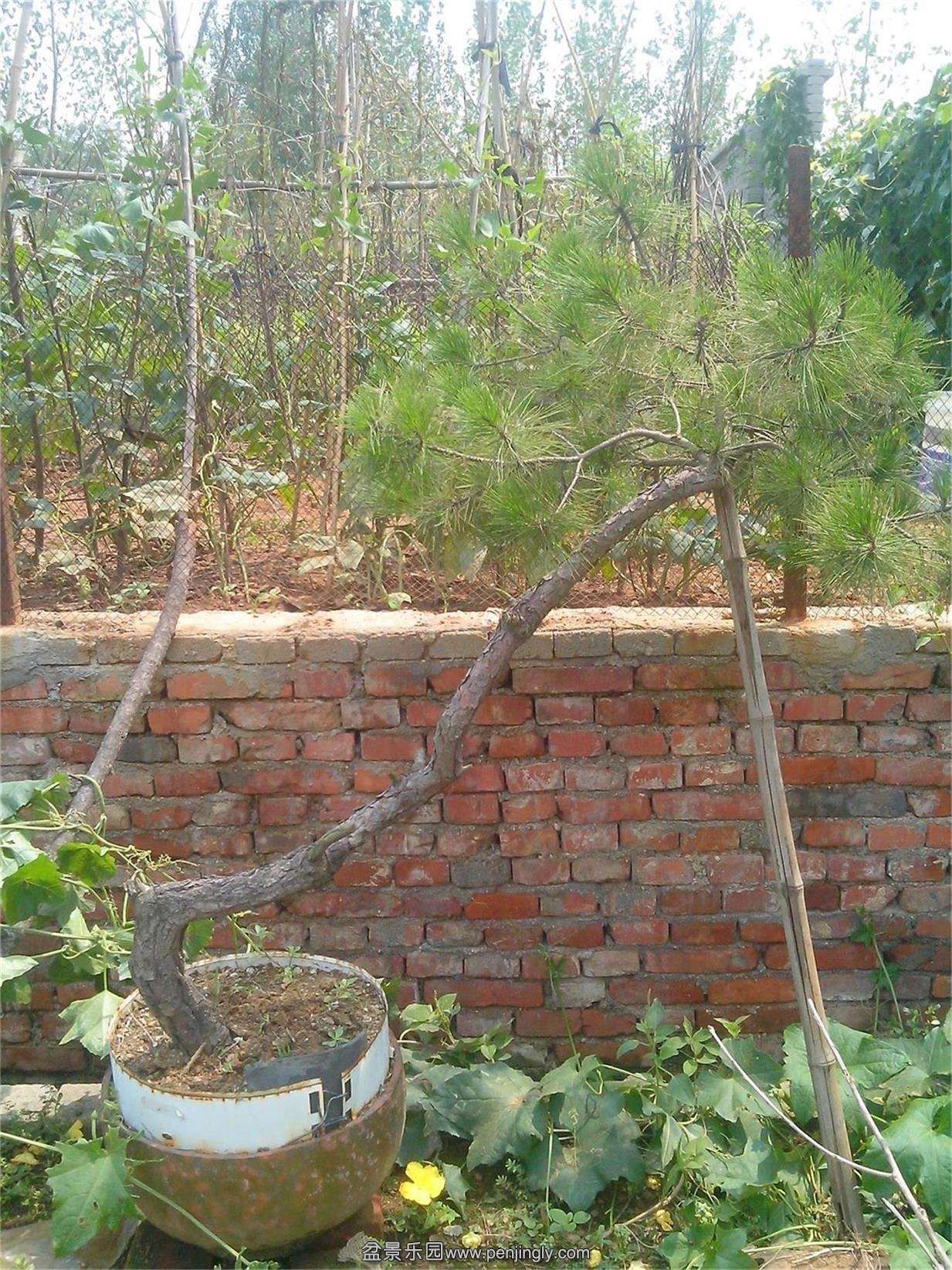 IMG20140819002.jpg