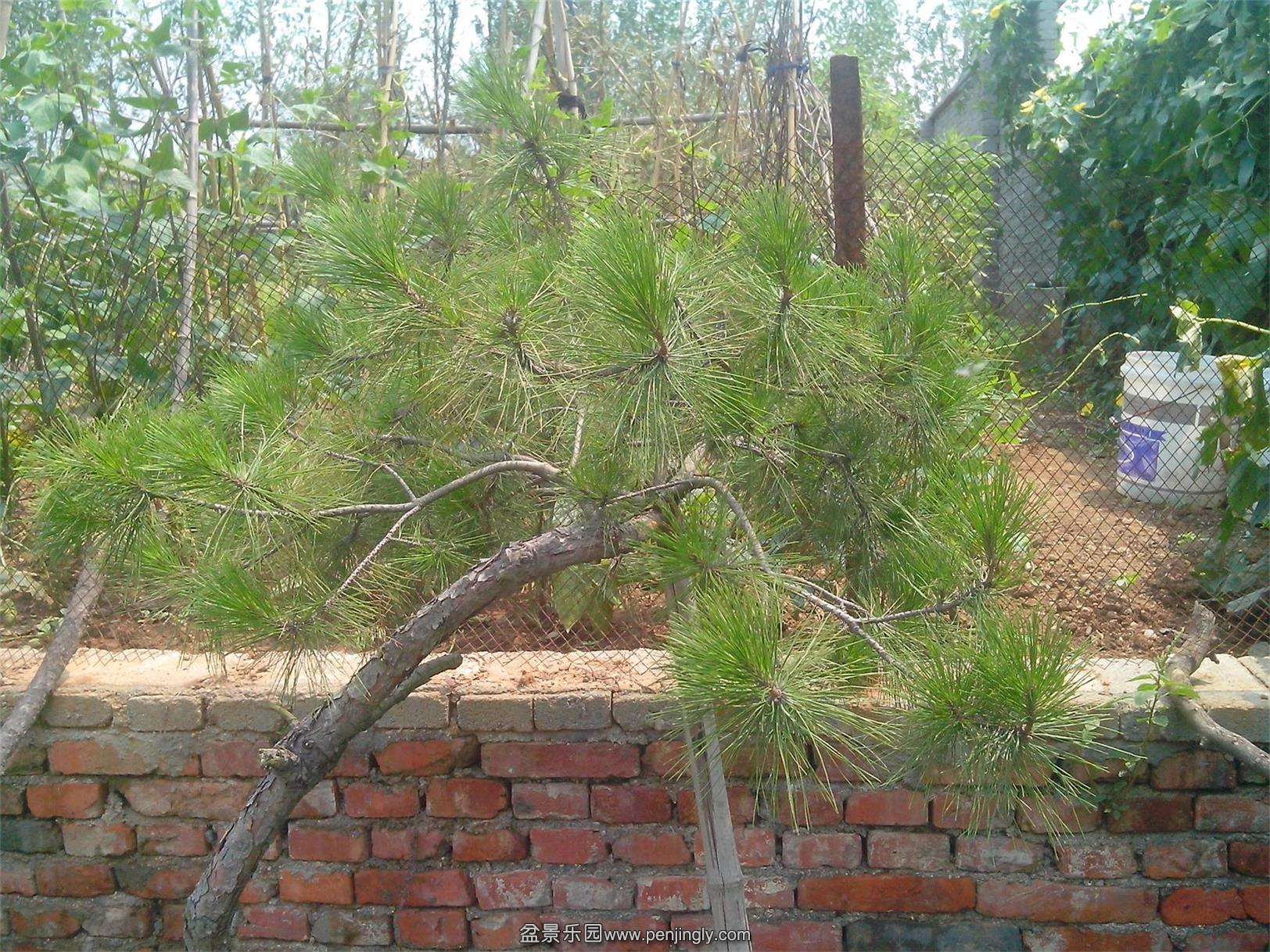 IMG20140819003.jpg