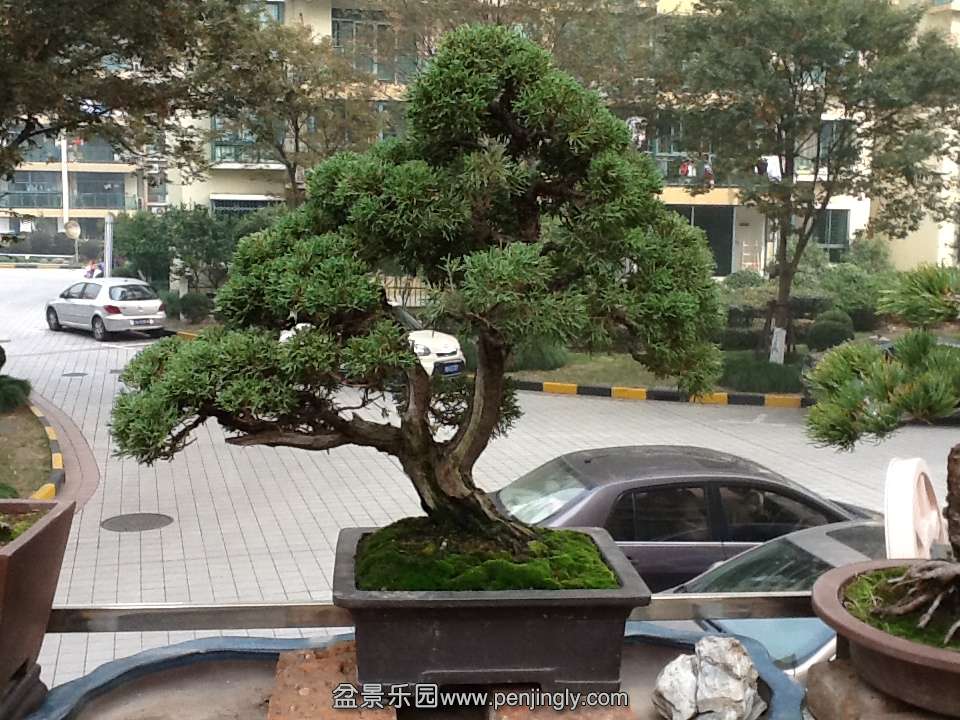 IPADƬ 223.jpg