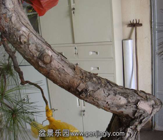DSC06684.JPG