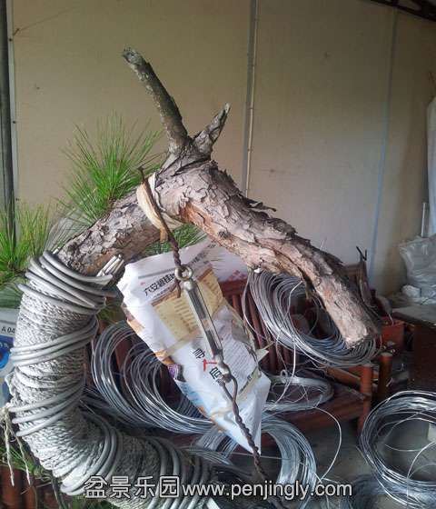20140729_082857.jpg