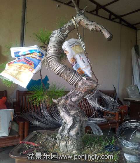 20140729_082936.jpg