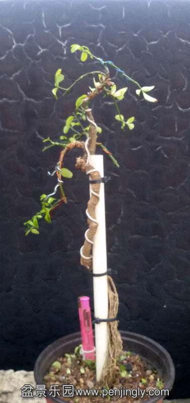 20140824_165404.jpg