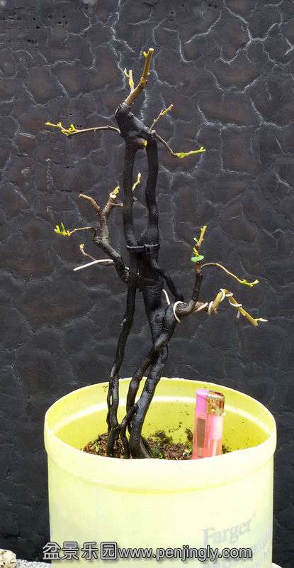 20140827_101752.jpg