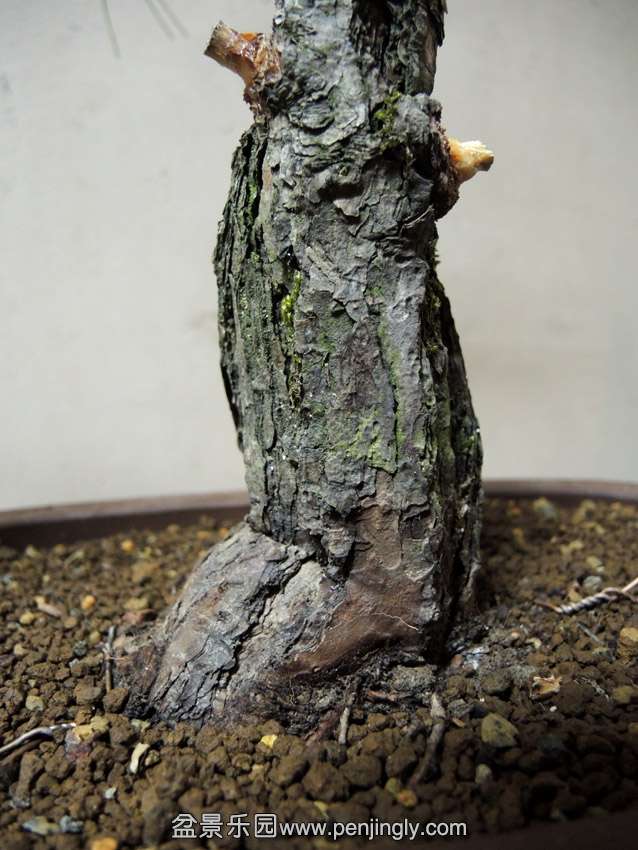 DSCN3057.jpg