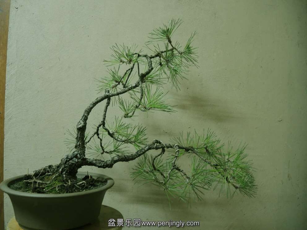 DSCN3060.jpg