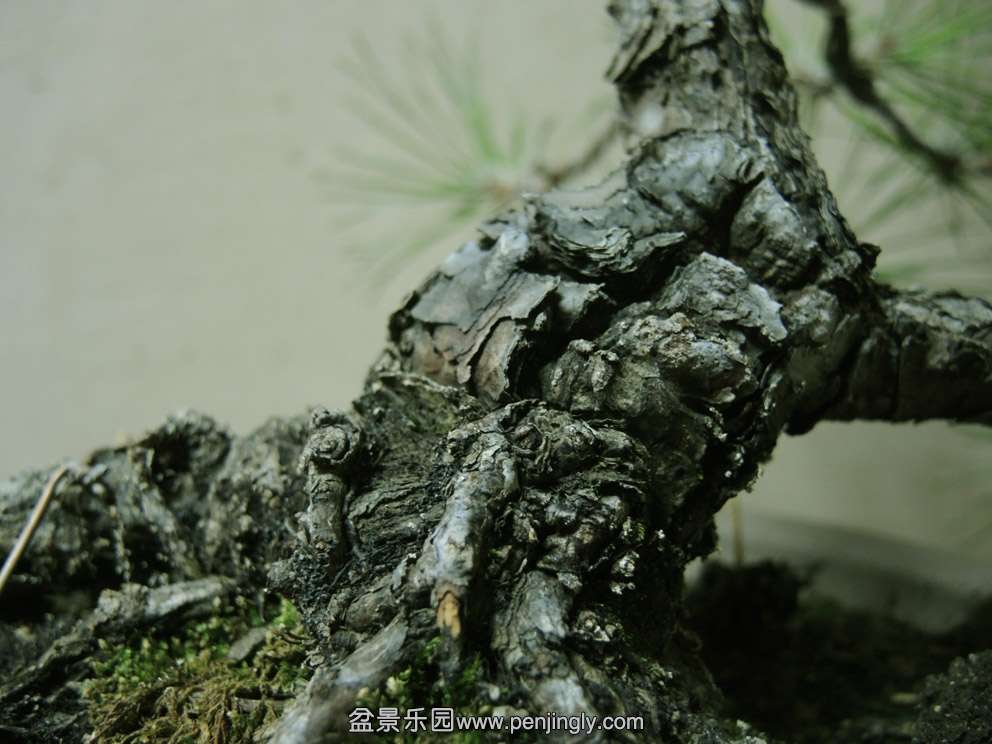 DSCN3064.jpg