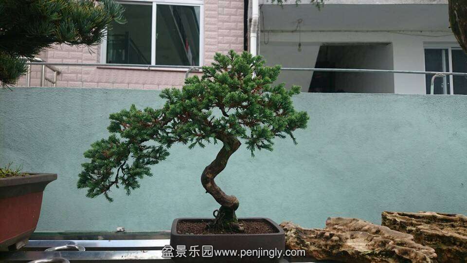 QQͼƬ20140828203041.jpg
